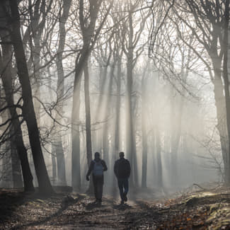 Over onze luchtkwaliteit zijn Nederlanders kritisch